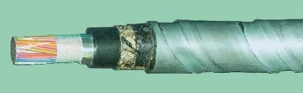 Кабель ТПппПЗБГ 10х2х0,5