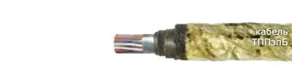 Кабель ТППэпБ 500х2х0,5-200