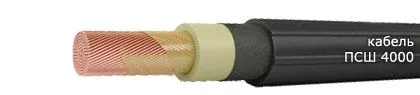 Кабель ПСШ 4000 95
