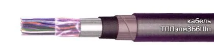 Кабель ТППэпмЗБбШп 10х2х0,4-200